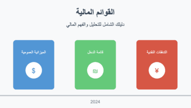 القوائم المالية للشركات